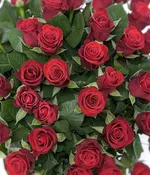 50 Red Roses_3.jpg