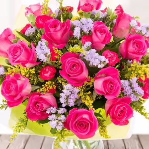 24 stems