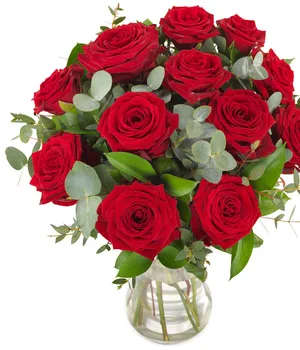 12 Red Roses