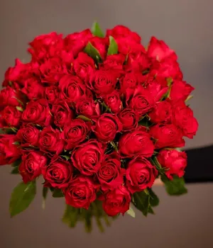 50 Red Roses2