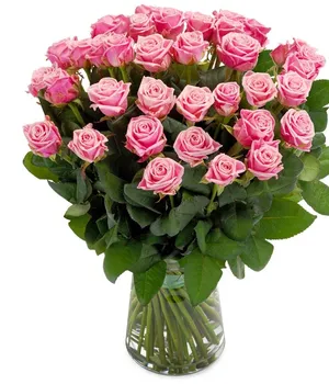 Pink roses bouquet