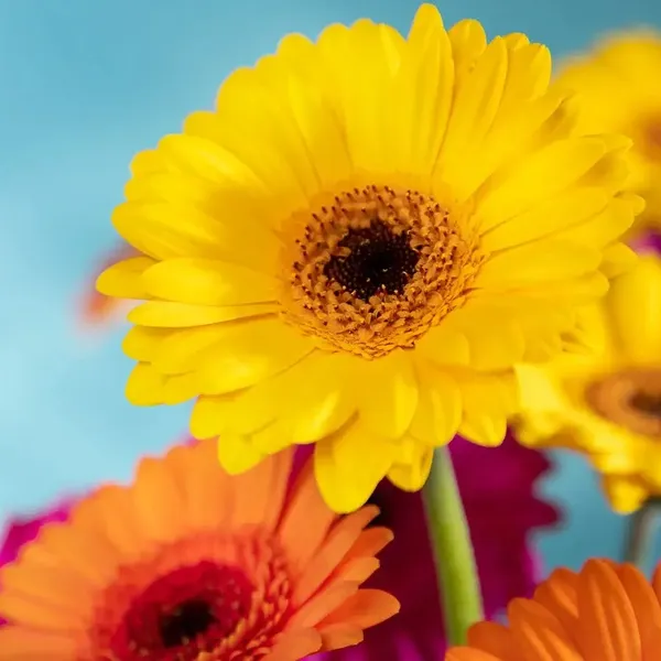 test1.jpg