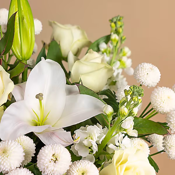 110713_closeup.png