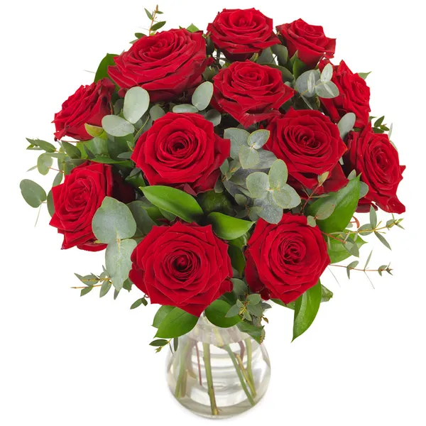 12 Red Roses