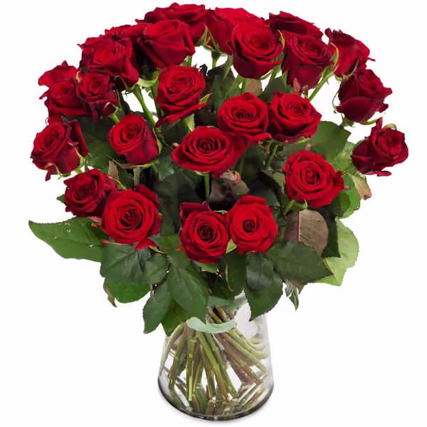 Red Rose bouquet.jpg