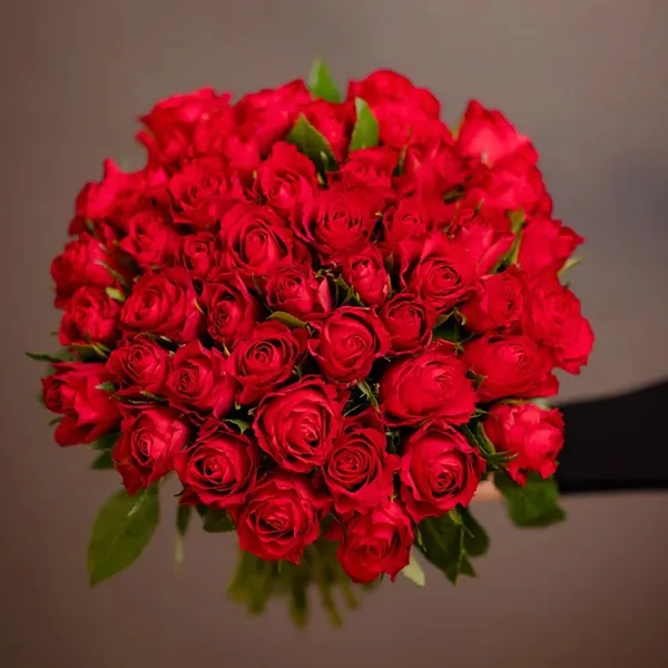 50 Rote Rosen