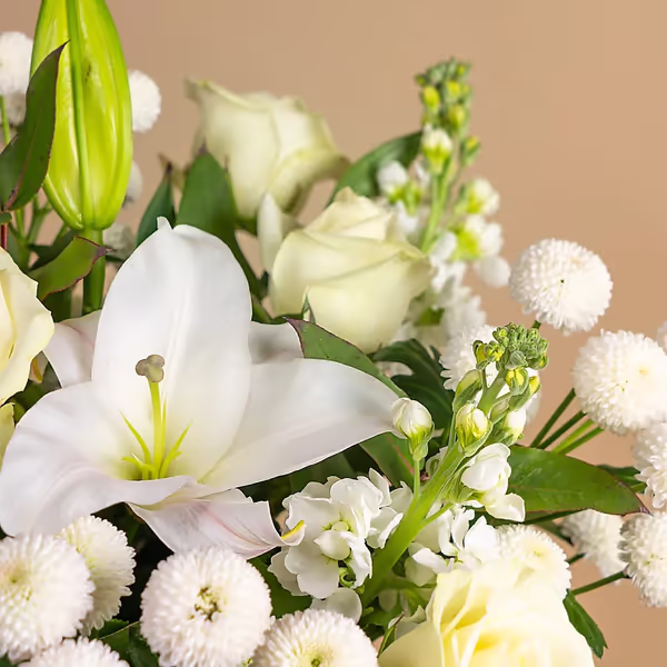 110713_closeup.jpg